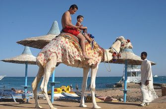египет для россиян